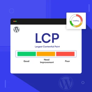 How do I solve the Largest Contentful Paint in WordPress-01